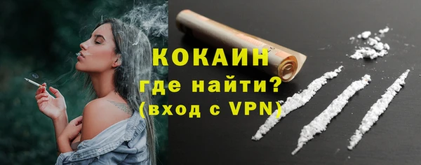 амф Гусиноозёрск