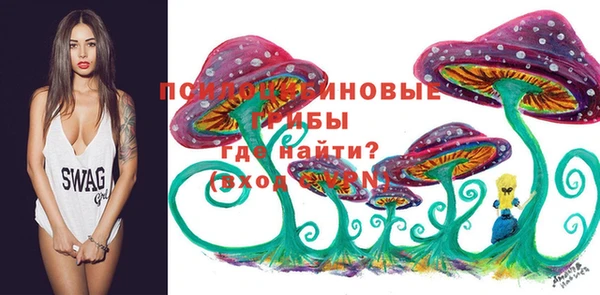дурь Гусь-Хрустальный