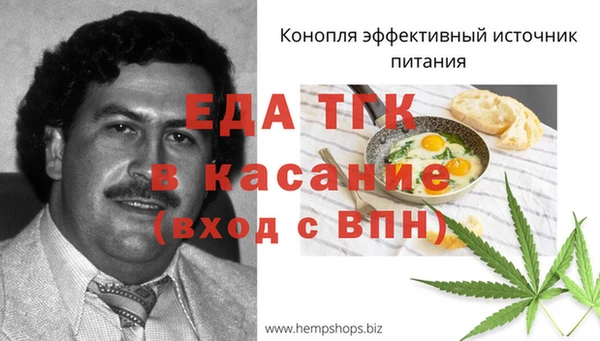 амф Гусиноозёрск